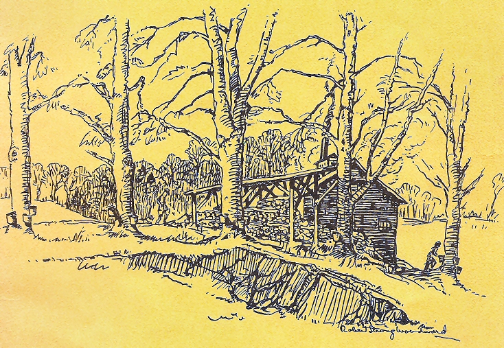 734x507 Rsw Artwork Page, Four Maple Trees In March (Sketch) - Maple Tree Sketch