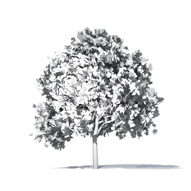 650x650 Maple Tree 3d Model Cgtrader - Maple Tree Sketch
