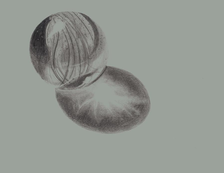 900x695 Glass Marble Drawing By Joe Rego - Marble Sketch