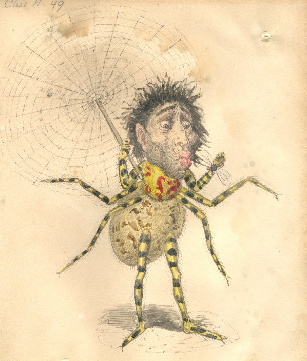 606x713 Illustrating Carnival Remembering The Overlooked Artists Behind - Mardi Gras Sketch