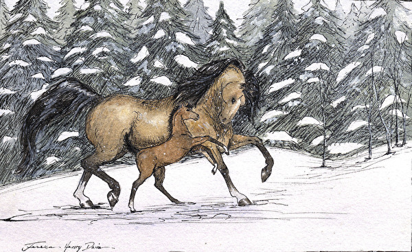 600x367 Jessica Henry - Mare And Foal Sketch