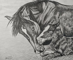 300x246 Mare And Foal Drawings Fine Art America - Mare And Foal Sketch