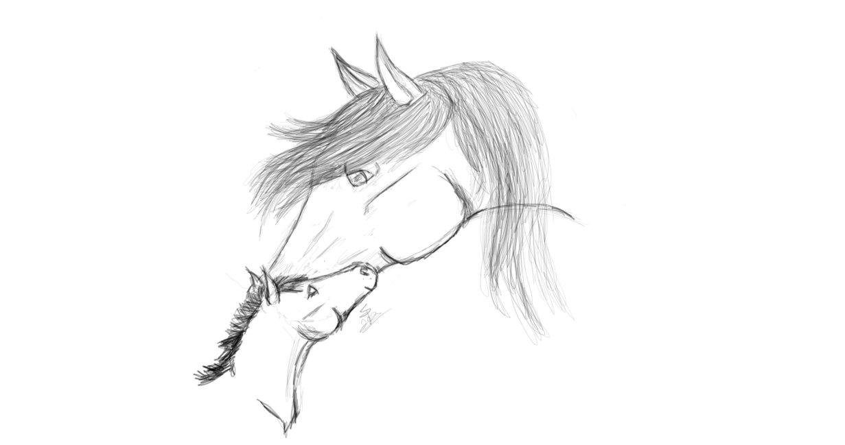 1231x649 Mare And Foal Sketch By Kanegili - Mare And Foal Sketch
