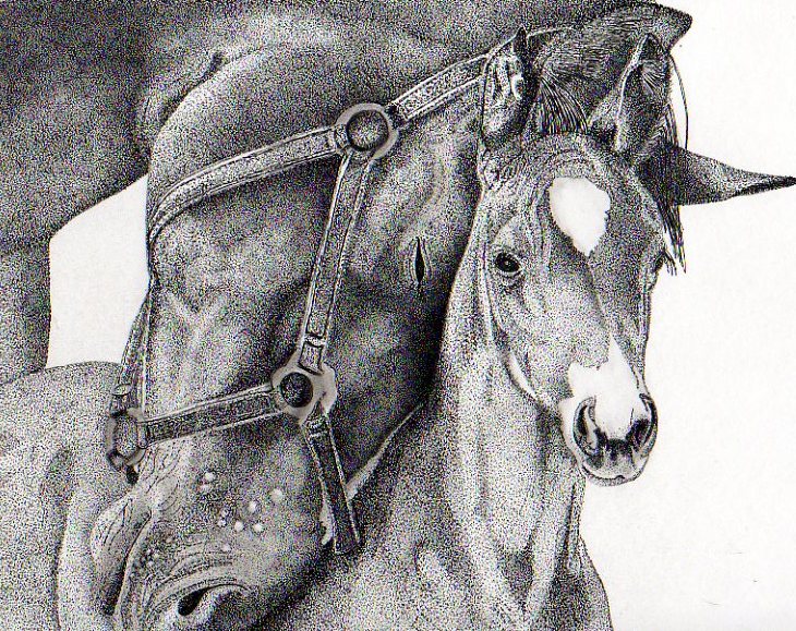 730x579 Mare Amp Foal - Mare And Foal Sketch