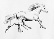 190x136 Mare With Foal By Sibosssr Spreadshirt - Mare And Foal Sketch
