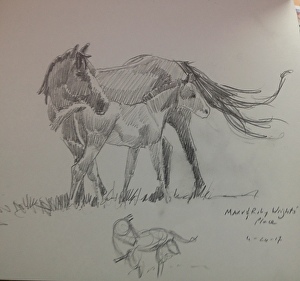 300x281 Sketching Mares And Foals Finding The Gesture And Learning To Fall - Mare And Foal Sketch