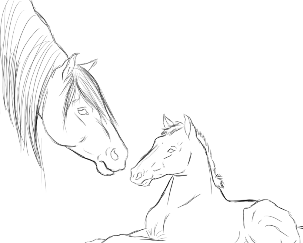 1000x800 Sketch~ Mare And Foal By Chellythebean - Mare And Foal Sketch