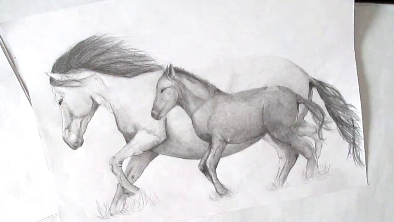 1280x720 Speed Drawing With Pencils - Mare And Foal Sketch