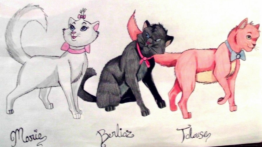 900x505 Aristocats All Grown Up By Mwroach - Marie Aristocats Sketch