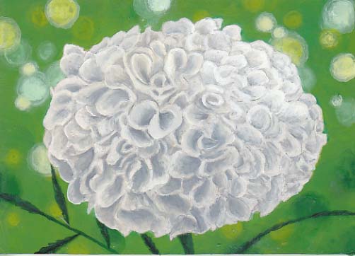 502x362 The Fine Art And Ramblings Of Lisa Isabella Russo Wip Marigold - Marigold Flower Sketch