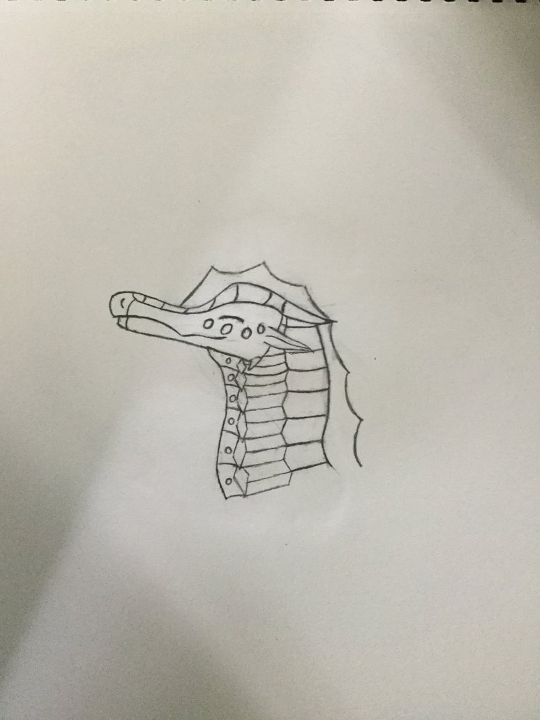 774x1032 Marigold Sketch By Moonbackisnightwing - Marigold Sketch