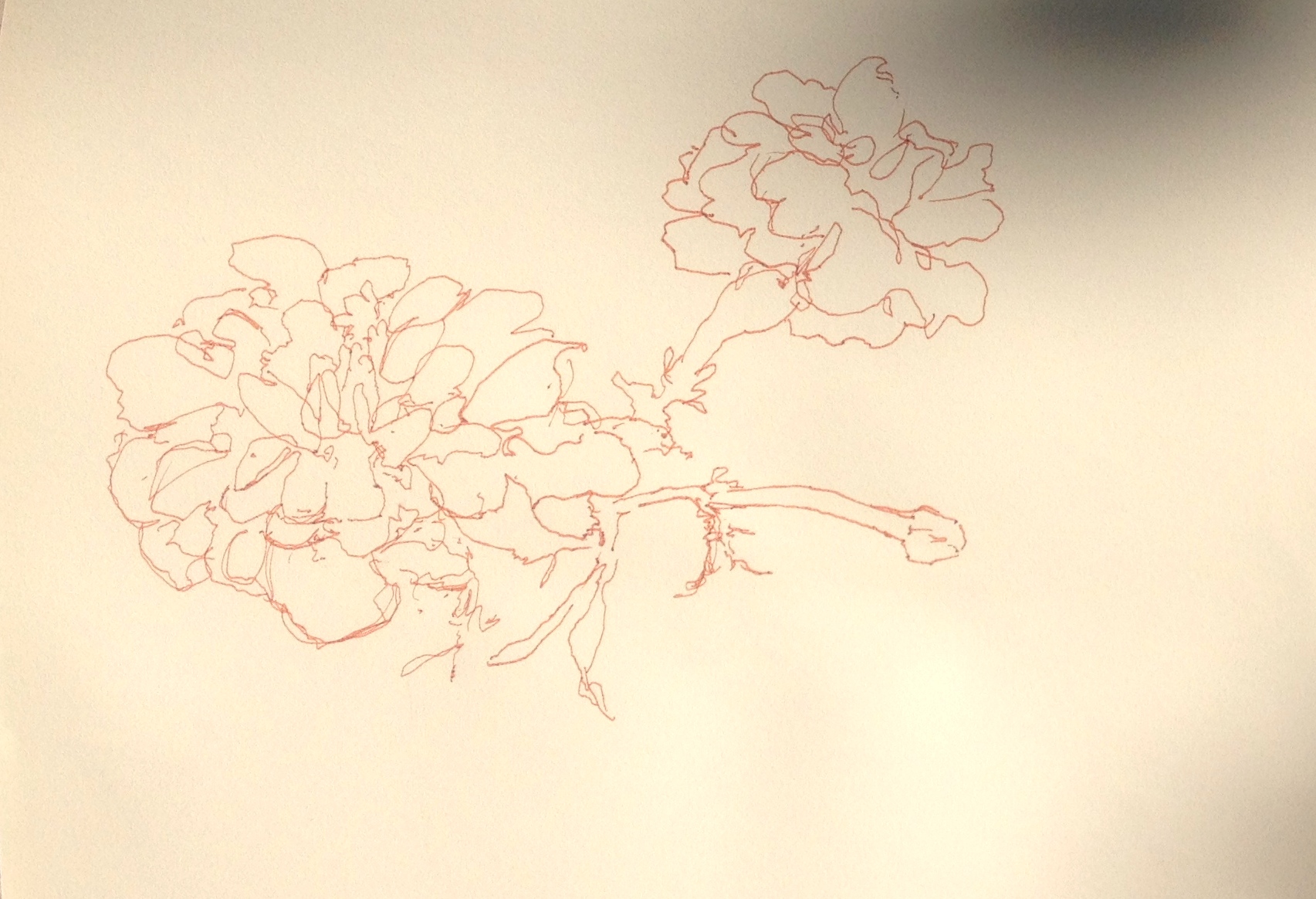 1705x1164 Marigold Sketches Moveable Paintbox - Marigold Sketch