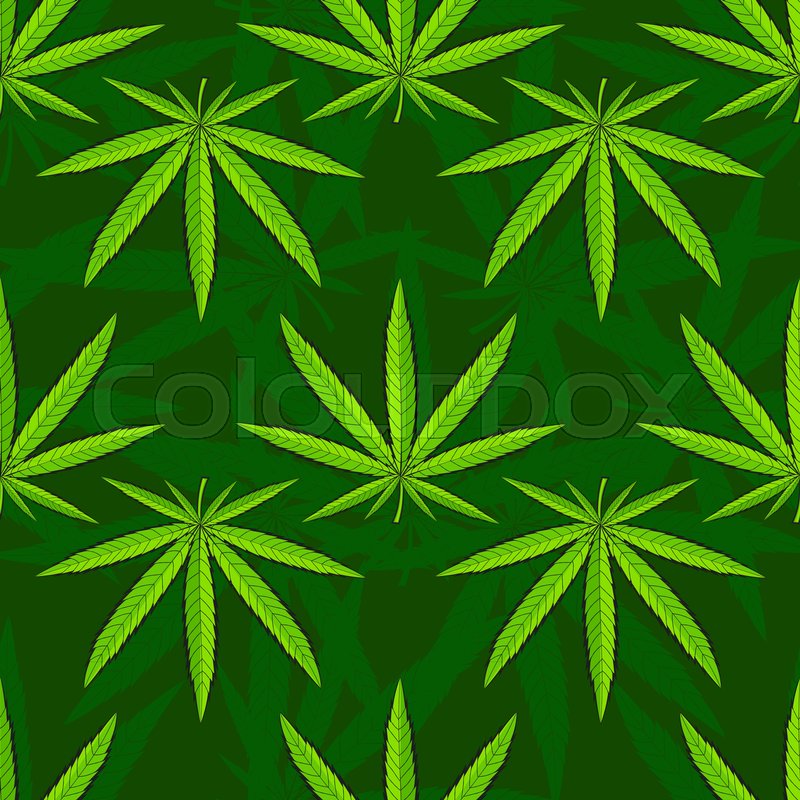 800x800 Marijuana Leaves Seamless Pattern. Hand Drawn Hemp Leaf Sketch - Marijuana Leaf Sketch