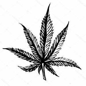 Marijuana Leaf Sketch at PaintingValley.com | Explore collection of