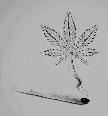 459x492 Drawn Marijuana Pencil - Marijuana Sketch