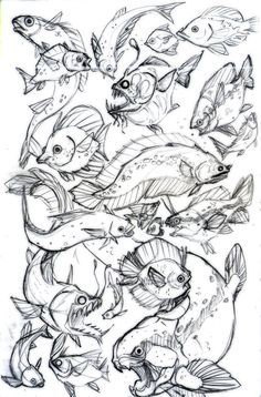 Marine Life Sketches