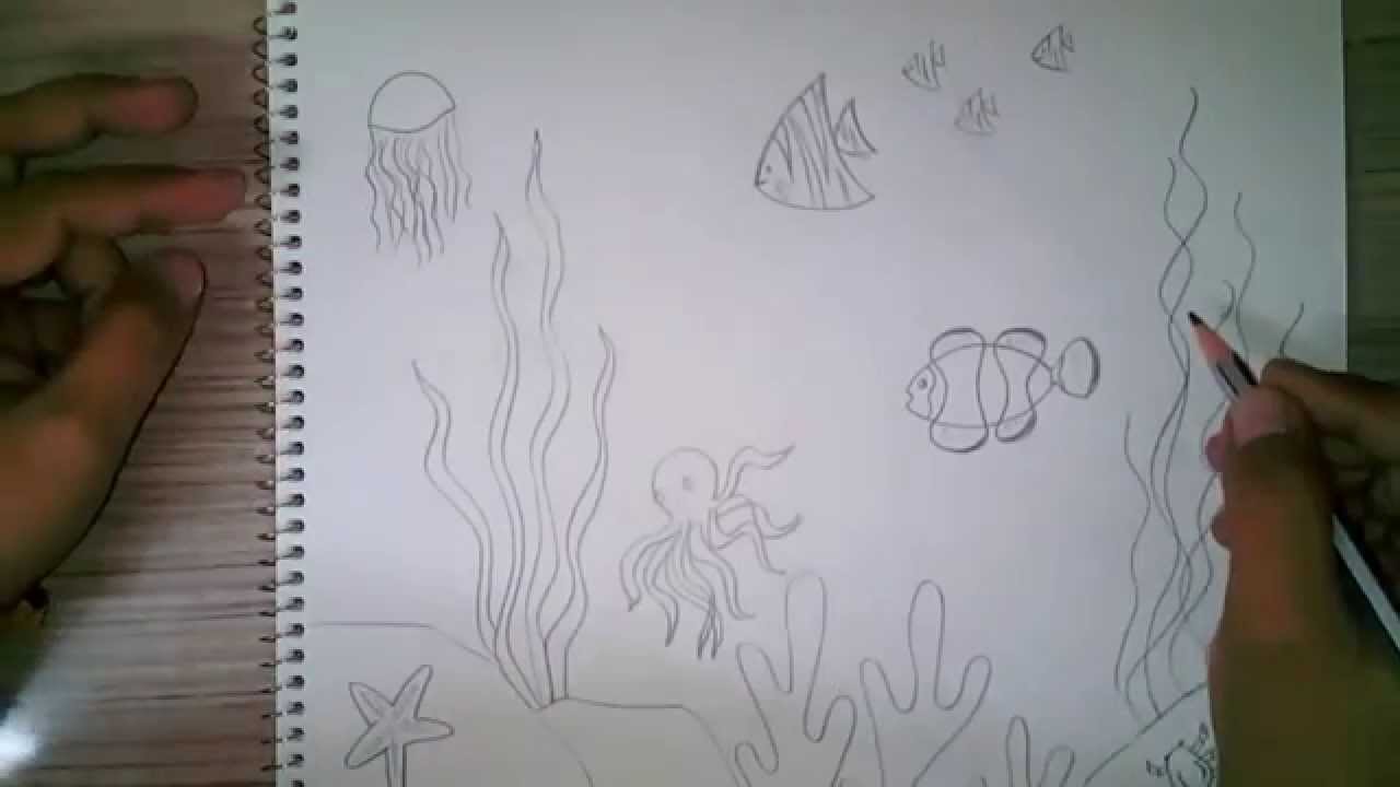 1280x720 How To Draw An Underwater Scene For Kids - Marine Life Sketches