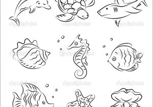 300x210 Marine Animals Drawing Drawing Of Ocean Animals - Marine Life Sketches