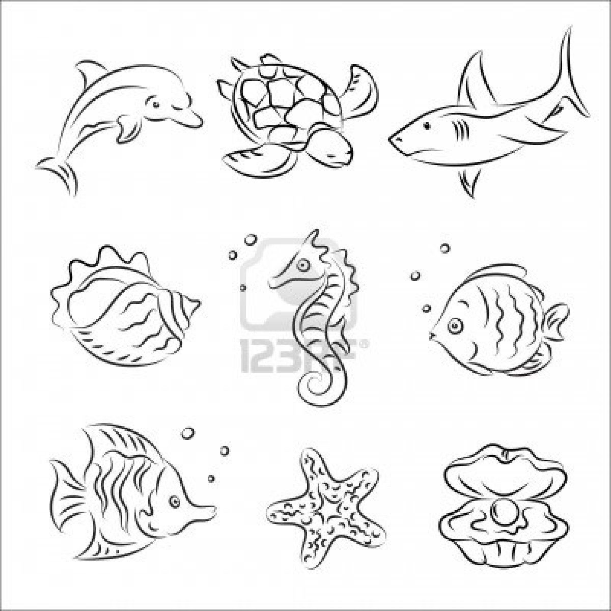1200x1200 Photos Marine Animals Easy Drawings, - Marine Life Sketches