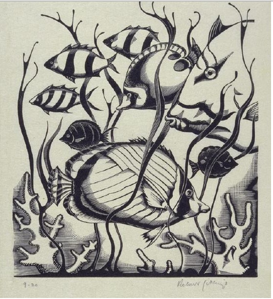 558x610 Throwbackthursday Artist Draws Bermuda - Marine Life Sketches