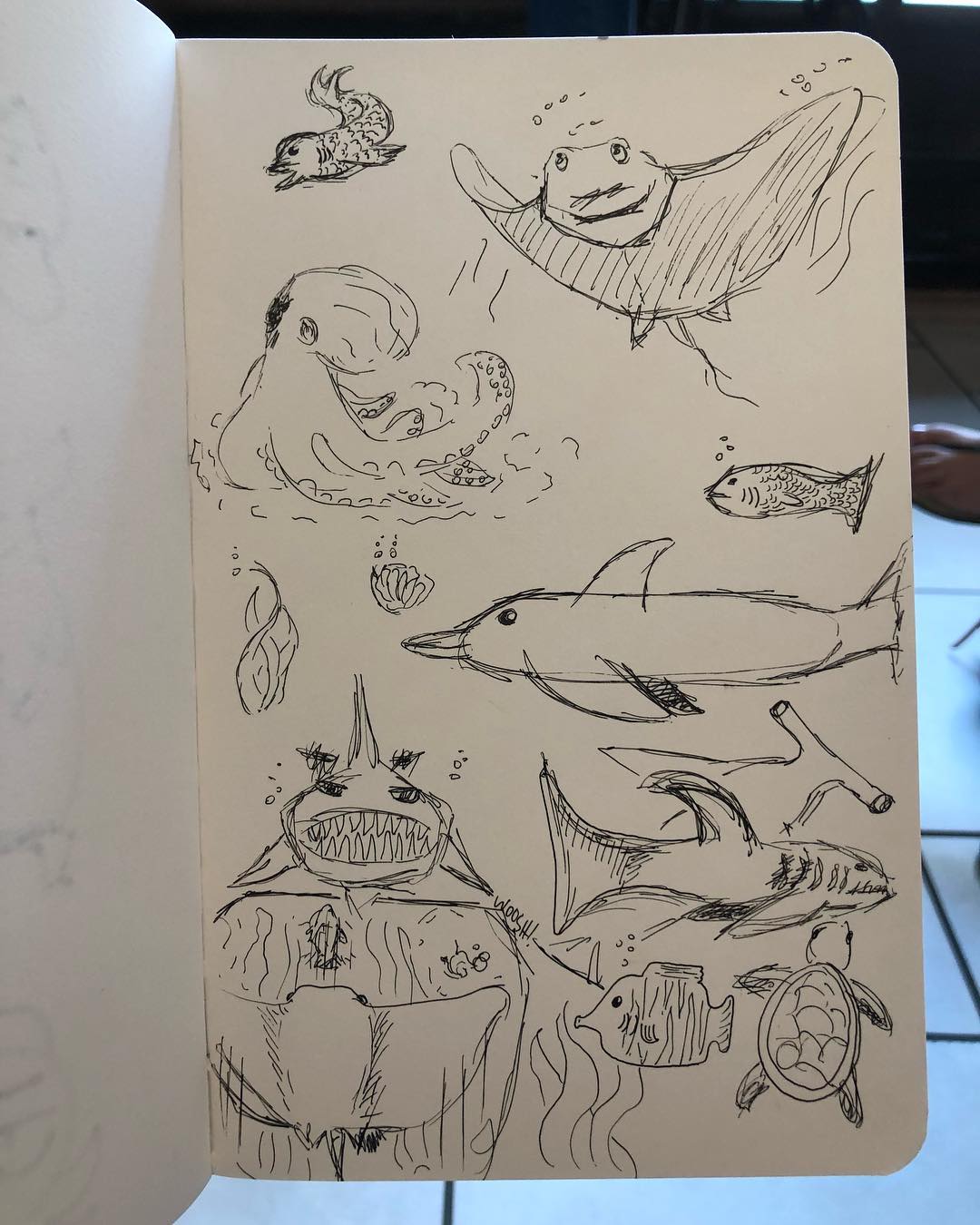 1080x1350 Oceansketch - Marine Life Sketches
