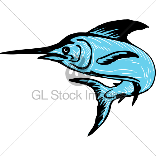 500x500 Blue Marlin Fish Jumping Drawing Gl Stock Images - Marlin Sketch