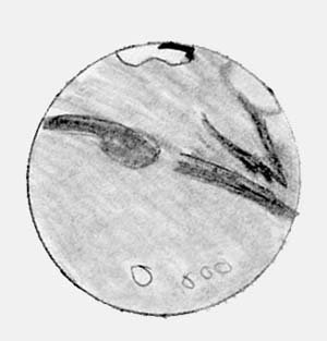 300x313 Mars Sketch August 15, 2003 - Mars Sketch