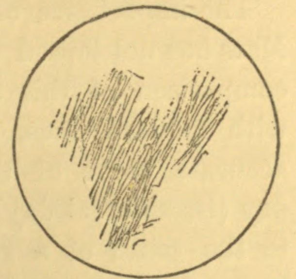 610x576 First Drawing Of Mars Fourth Planet - Mars Sketch