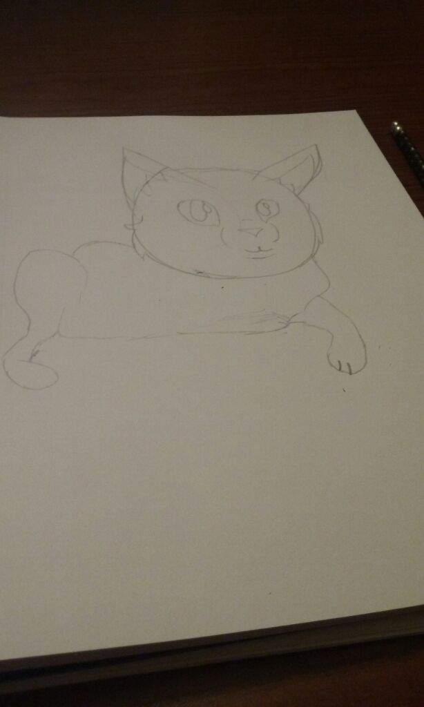 614x1024 Marshmallow Drawing! Neko Atsume Amino - Marshmallow Sketch