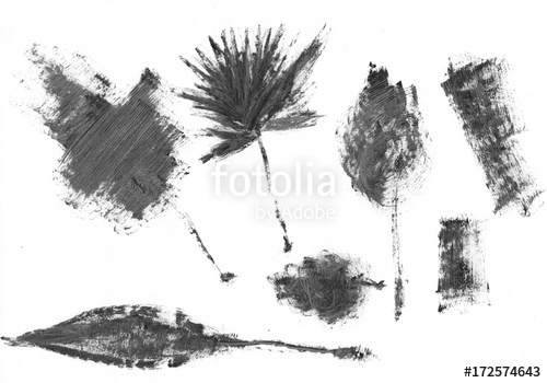 500x350 Hand Drawn Palm Tree Isolated On White Background. Ink Sketch - Mascara Sketch