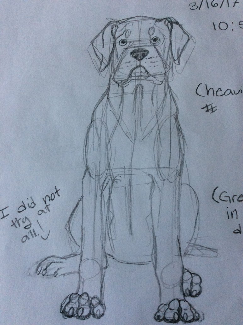 772x1034 Mastiff Sketch. By Dawnofthegold - Mastiff Sketch