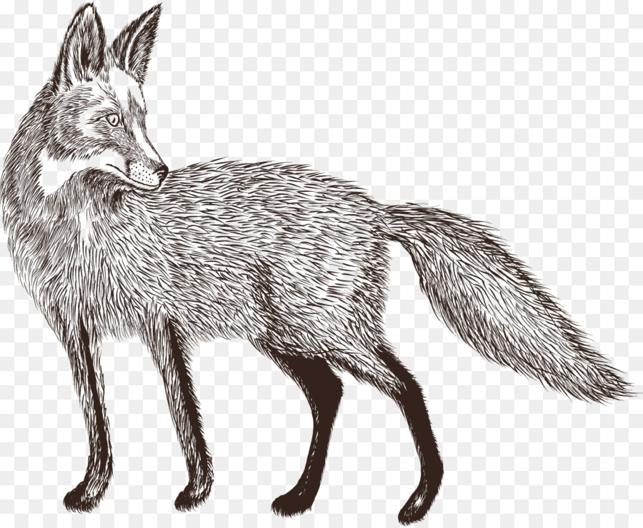 900x740 Tibetan Mastiff - Mastiff Sketch