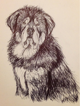 320x426 Mastiff Drawings On Paigeeworld. Pictures Of Mastiff - Mastiff Sketch