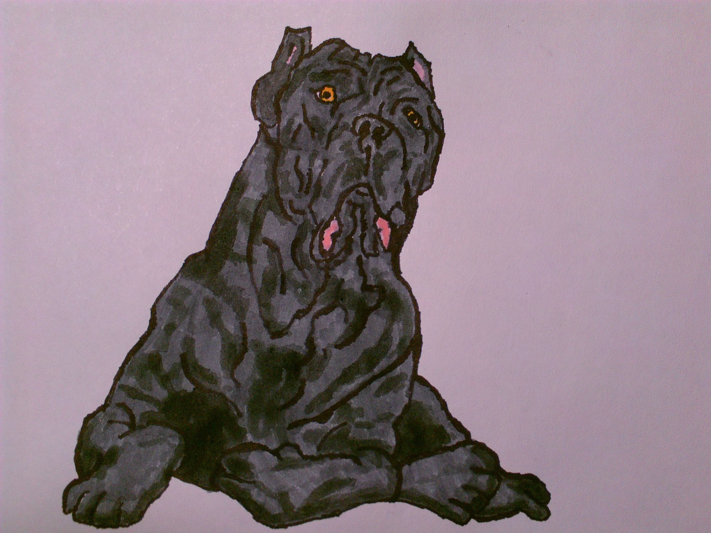 Mastiff Sketch at Explore collection of Mastiff Sketch