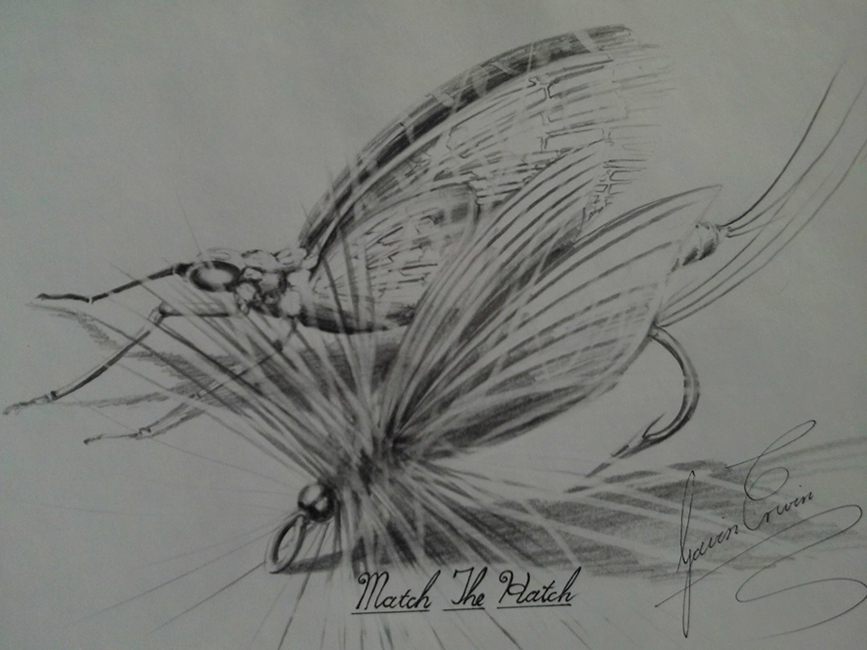 960x720 Match The Hatch Sketch Fish The Fly South Africa - Match Sketch