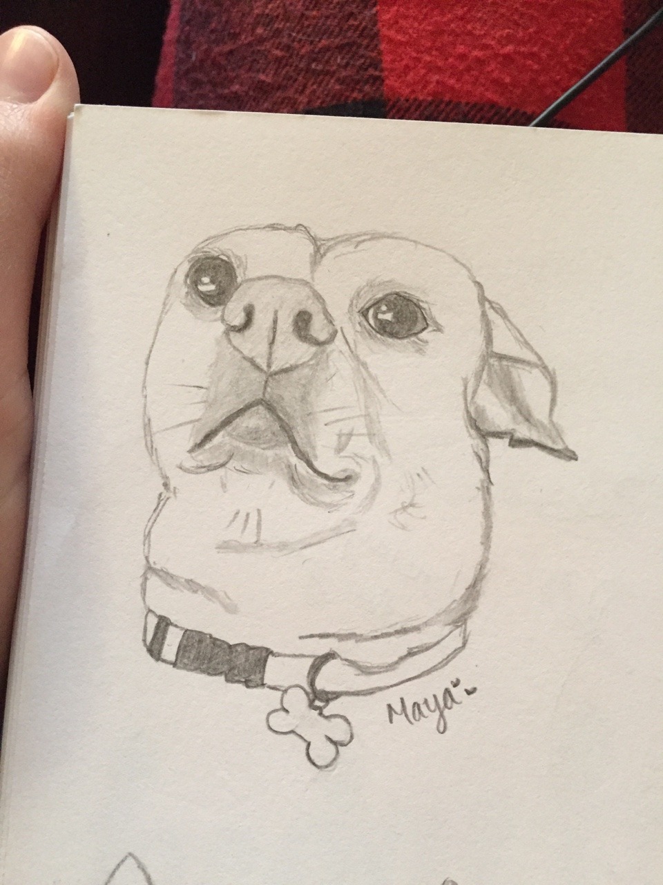 960x1280 Major Bippage A Little Maya Sketch - Maya Sketch