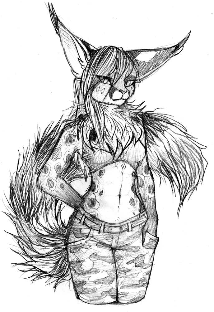 688x1000 Sketch Katt By Neko Maya - Maya Sketch