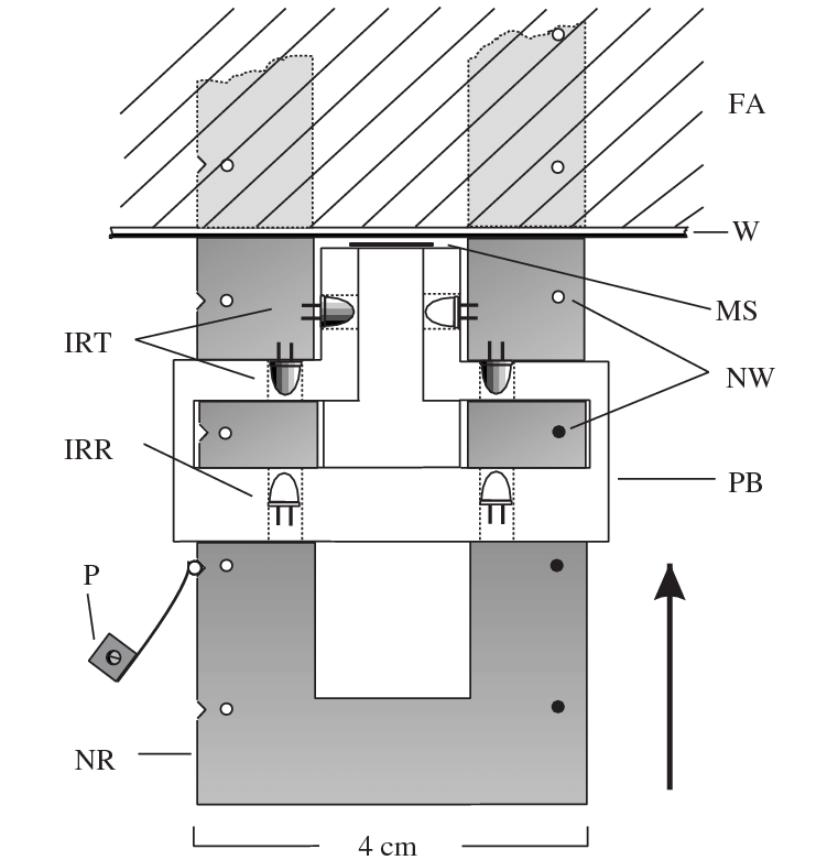 751x781 Sketch Of One Of The Four Mazes Top View. Fa, Flight Arena Irr - Maze Sketch