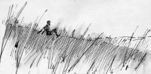 512x251 Index Of Pobpob Images - Meadow Sketch