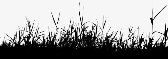 650x229 Lawn Silhouette,meadow, Silhouette Vector, Lawn, Sketch Png And - Meadow Sketch