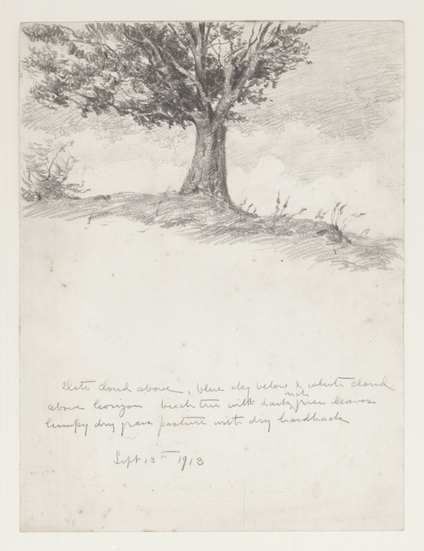 600x780 Meadow Sketch New England Art Exchange - Meadow Sketch