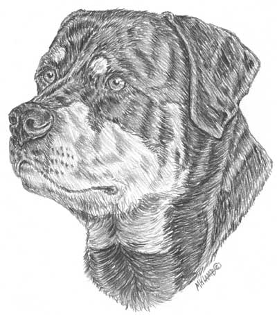 400x454 Drawing From Line To Life Blog Archive Dog Drawing Critique - Mean Dog Sketch