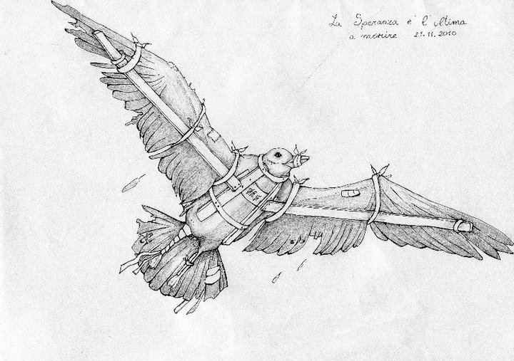 720x507 Hope, Bird Design, Meaningful Design, Bampw, Sketch, Ink Drawing - Meaningful Sketches