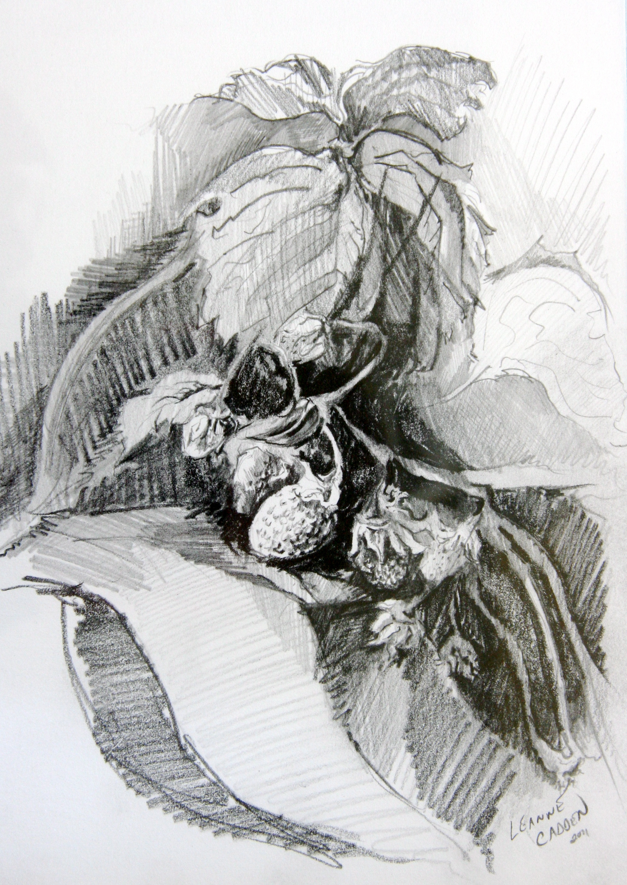 Meaningful Sketches at Explore collection of