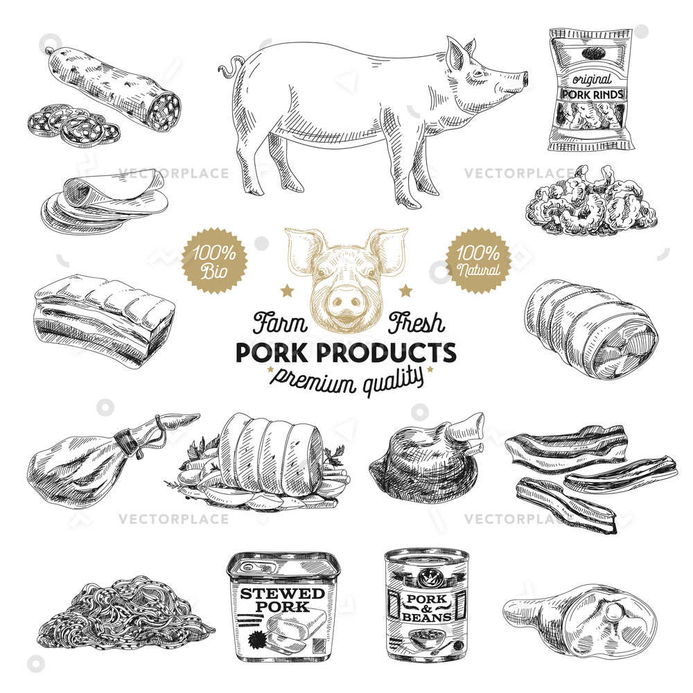 1000x1000 Hand Drawn Meat Products Pork Sketch Vector Illustration 13129 - Meat Sketch