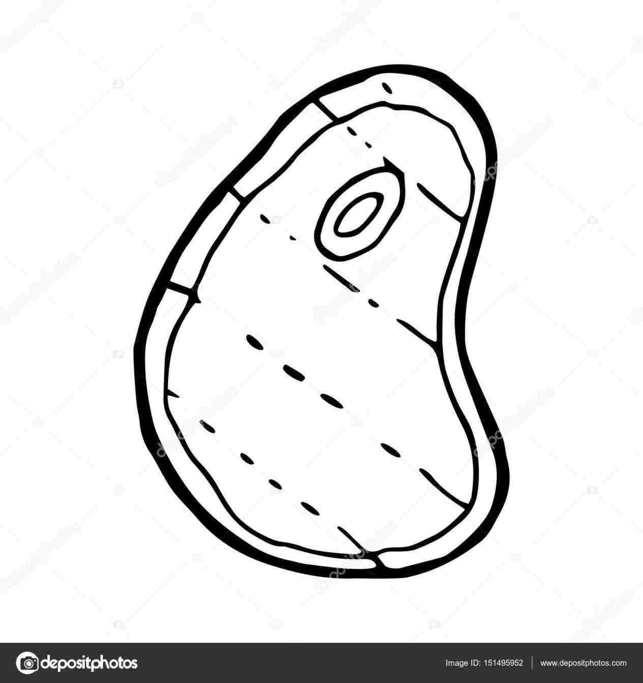 1264x1343 Drawing - Meat Sketch