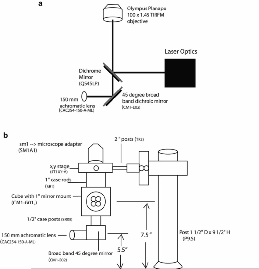 850x882 A ) Schematic Of The Microscope Optical Path And ( B ) Mechanical - Mechanical Sketch