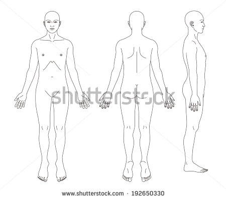 450x397 Gallery Medical Sketch Of Human Body, - Medical Body Sketch