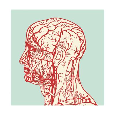 400x400 Medical Drawing Of Head Art Print By Pop Ink - Medical Body Sketch