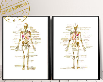 340x270 Medical Art Etsy - Medical Body Sketch